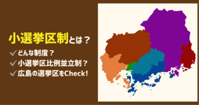 小選挙区制とは？小選挙区比例代表並立制や広島の選挙区割も解説